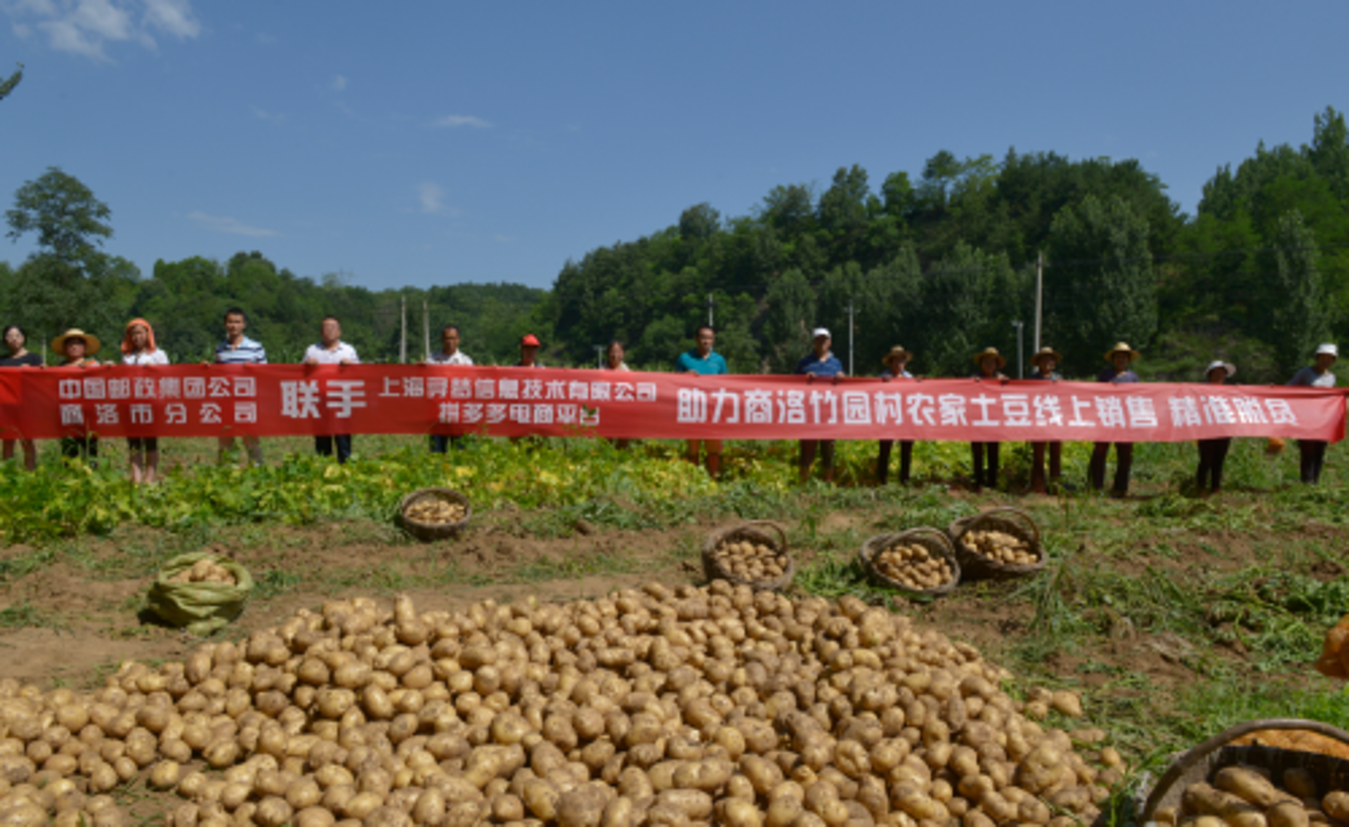 安徽软件开发：新兴市场中的佼佼者
